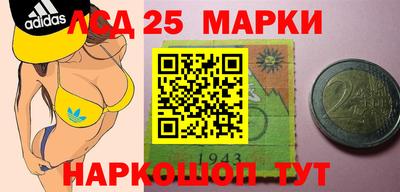 шишки Бузулук
