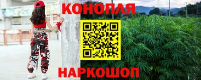 шишки Бузулук