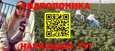 шишки Бузулук