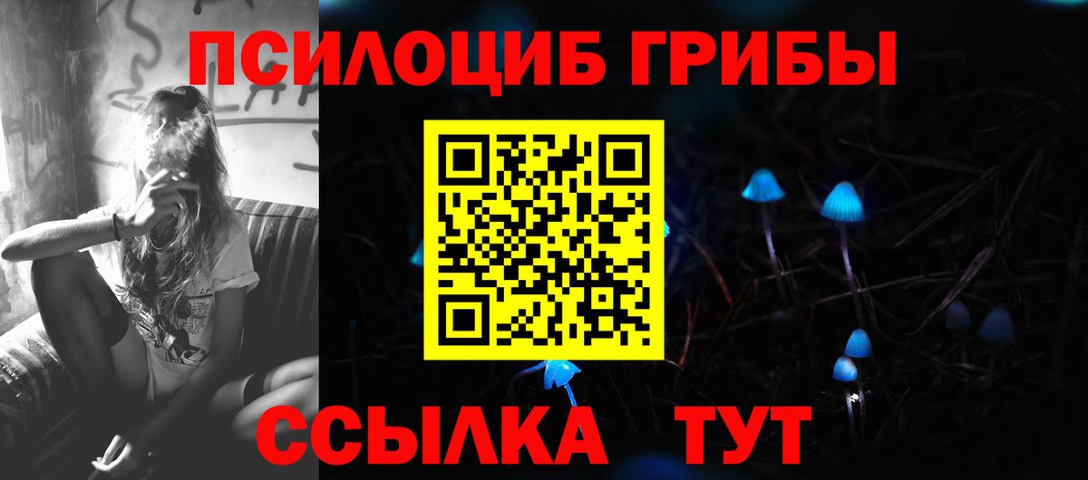 Псилоцибиновые грибы мухоморы Великие Луки